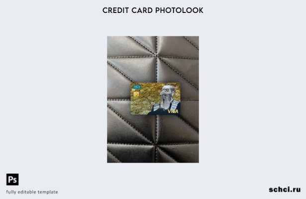 цифровая загрузка Норвегии DNB Bank Visa Gold Card фотоизображение переднего шаб